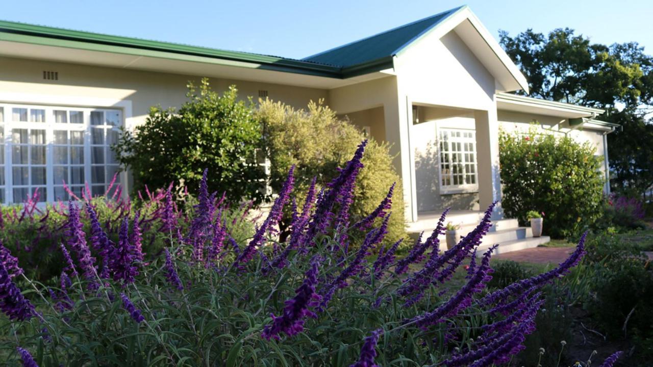 Daisy Place Franschhoek Exterior photo